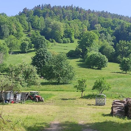 Les Studios Du Frankenthal Stosswihr Kültér fotó