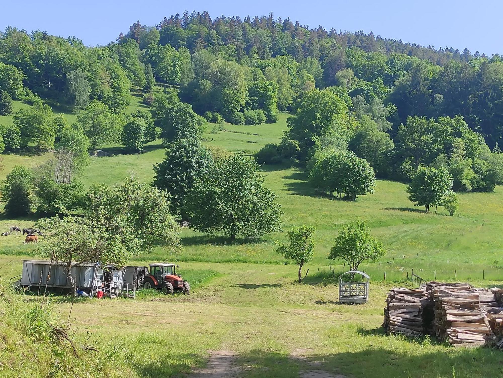 Les Studios Du Frankenthal Stosswihr Kültér fotó