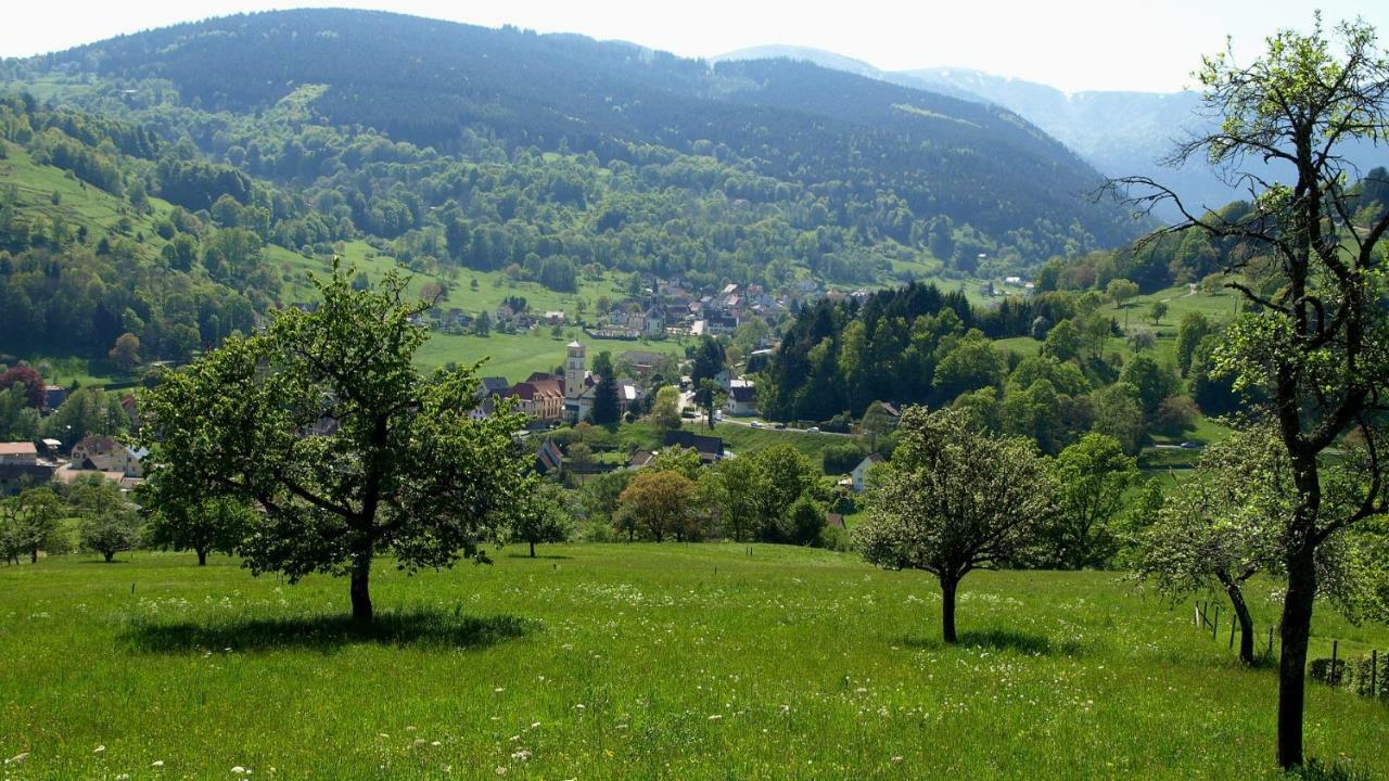 Les Studios Du Frankenthal Stosswihr Kültér fotó